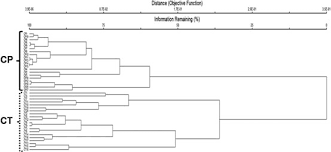 Image result for Crepidorhopalon tenuis