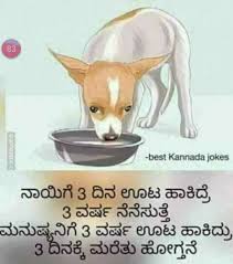 Pin By Ningappa Kodavi On Kannada Saving Quotes Motivatinal Quotes Bruce Lee Quotes