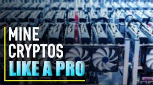 Just look at this website. Is Bitcoin Mining Still Profitable Crypto Mining 2019 Youtube