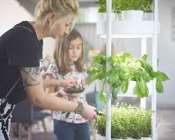 With the right tools, anyone who wants to for other types of indoor garden systems, however, you may want some extras to help you along. Automatic Soil Less Garden System Grows Up To 76 Plants
