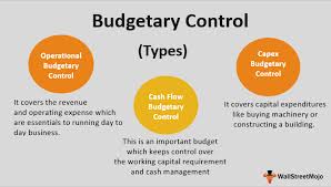 budgetary control meaning types advantages disadvantages