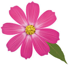 Clipart Flower Pink Flower Png Clipart Best Web Clipart Flower Clipart Images Flower Images Flower Clipart
