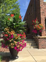 Gardening Professionals Garden Containers Container Garden Design Container Gardening