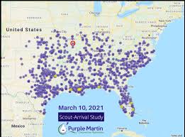 Purple martins are large, iridescent swallows and highly desirable backyard birds, and attracting purple martins can be easy. The Birds The Bees Purple Martin Season 2021 Has Begun