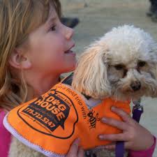 BEST of South Lake Tahoe 24 Hour Emergency Vet