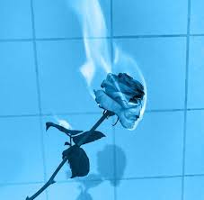 64 Images About Baby Blue Aesthetic On We Heart It See More About Blue Baby Blue And Aesthetic