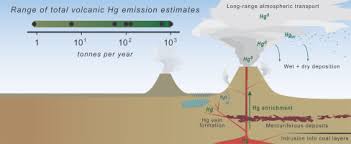 We did not find results for: Fifty Years Of Volcanic Mercury Emission Research Knowledge Gaps And Future Directions Sciencedirect