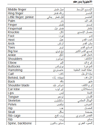 تعلم الإنجليزية بدون معل م الكتاب الشهير جدا Pdf للتحميل مدونة الرضوان The Rad1