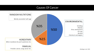 Metastases are the primary cause of death from cancer. What Is A Carcinogen How Is A Chemical Substance Identified As A Carcinogen