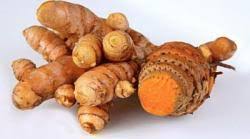 Dapat resep jamu untuk dikonsumsi waktu masa subur (untuk kehamilan) dari seorang bidan. Banyak Penyakit Sembuh Karena Kunyit Tribunnews Com Mobile