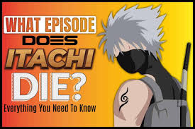 Itachi | Origin And History | Dictionary.Com
