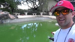 This can be done by shocking your pool with high levels of chlorine. How To Clear Up A Green Pool Fast Youtube