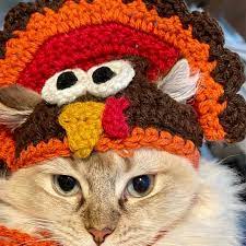 Turkey Hat For Cats Thanksgiving Hats For Cats Cat Hat Cat Etsy Cat Hat Dog Hat Pet Costumes
