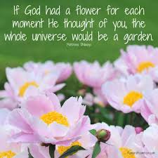 May 14, 2020 · if you're looking for a special reading or poem to express your feelings at your baby's memorial service or funeral, you'll find here some excerpts from suggested works to get you started. Biblical Hope Quotes Flowers Bloom Hope