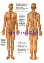 Acupressure And Massage Chart Templates Samples Forms