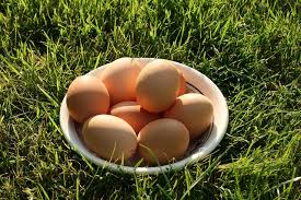 I livelli ematici di vitamina d andrebbero misurati periodicamente. Vitamina D Dove Si Trova Ecco Gli Alimenti Che Ne Contengono Di Piu