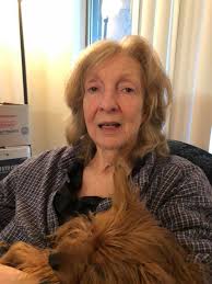 A butterfly's visit brings joy and wonder