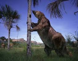 Potret Dunia Mapinguari Megatherium Dari Hutan Amazon