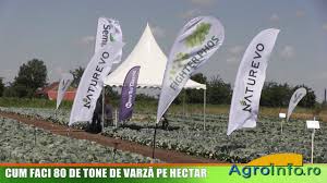 10 galeti (la 10 litri) la un sac de multibat. Cum Faci 80 De Tone De VarzÄ Pe Hectar Youtube