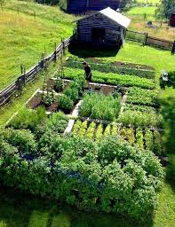 Beautiful Garden Horta Jardim Jardim Hortas