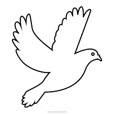 It rained for 40 days. Dove Coloring Page Ultra Coloring Pages