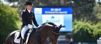 By dorothee schneider july 30, 2019. Stute Von Olympiasiegerin Schneider Verstorben Ein Totes Pferd Und Viele Fragen Hessenschau De Sport