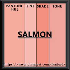 Pantone Seasonal Color Swatch Salmon Pantone Pantone Color Color Swatches