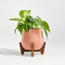 Planters are perfect for adding a pop of colour anywhere in your garden. Sale Ends Soon Shop Evie Small Planter With Stand Our Evie Planters Elevate Houseplants With A Modern Mix Of Natura Small Planter Terracotta Planter Planters