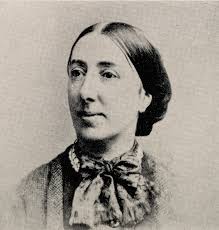 History of Ecological Sciences, Part 45: Ecological Aspects of Entomology  During the 1800s