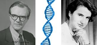 Watson et crick étaient, au contraire convaincus qu'il avait une double spirale. Kcl Alumni Pa Twitter Today Is Dnaday Celebrating The Day In 1953 When King S Alumni Maurice Wilkins And Rosalind Franklin Along With Colleagues James Watson And Francis Crick Published Ground Breaking Papers On