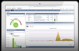 Netsuite's breadth affords robust functionality, and its scalability bottom line: Netsuite Erp Cloud Based Software