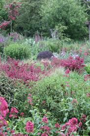 Cheryl Cummings Garden Design Cheryl Cummings Garden Designer In Wales Gloucestershire Her Garden Design Plans Wildlife Gardening Contemporary Garden Design