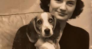 OBITUARY: Ellen Hess LaBonte, 1931-2022