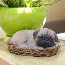 Hi Line Gift Ltd Teacup Pug Puppy Statue Wayfair Teacup Pug Pug Puppy Pugs