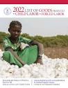 Advancing Research on Exploitation in Global Supply Chains Acting ...