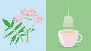 Valerian is mainly remembered for persecuting christians and for the manner in which his life ended. Make Valerian Tea How To Prepare Brew And Steep This Herbal Tea Everyday Health
