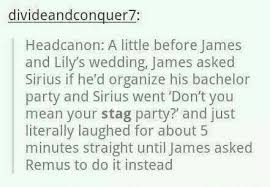 He didn't realise it yet, of course. James And Lily Wedding Harry Potter Amino