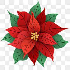 Poinsettia Clipart Images | Free Download | PNG Transparent Background -  Pngtree