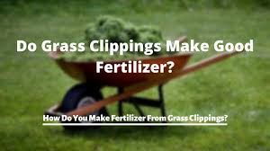 Use grass clippings to make compost. 4vqfr179d4muim