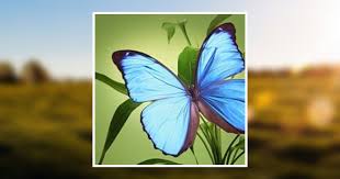 Elizabeth Chavis Boyette Obituary July 16, 2020