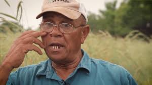 What is the role of cover crops in nutrient stratification in no till  systems?