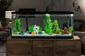 Fish Aquarium 55 Gallon Tank Led Large Starter Kit Fish Tank Powerful Filter Day Latest Fish Tank Fish Tank For 55 Gallon Aquarium Fish Tank Fish Tank Design
