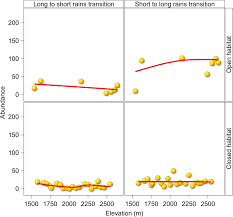 Image result for Lasiodiscus usambarensis