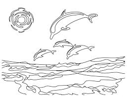 Ausmalbilder delphin zum ausdrucken mit bildern. Pin On Coloring Pages
