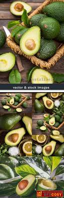 Free hq photos about healthy food. Avocado With Salt And Lemon For Healthy Food Free Download Photoshop Vector Stock Image Via Zippyshare Torrent From All Source In The World