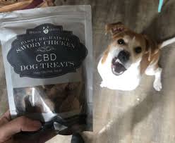 Cbd pet treats come in a huge variety of different pet specific flavors. This Is What Happens When You Eat Your Dog S Cbd Treats Greenstate Greenstate