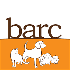 Check out our nationwide database of dogs looking for good homes. Barnsley Animal Rescue Charity Barc Barnsley Animal Rescue Charity