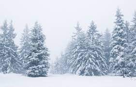 We did not find results for: Wallpaper Winter Snow Trees Landscape Winter Tree Landscape Beautiful Winter Snow Fir Tree Images For Desktop Section Priroda Download