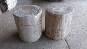 Indogemstone Petrified Wood Side Tables