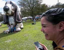 Suncoast Basset Rescue Sweetheart Waddle 2017